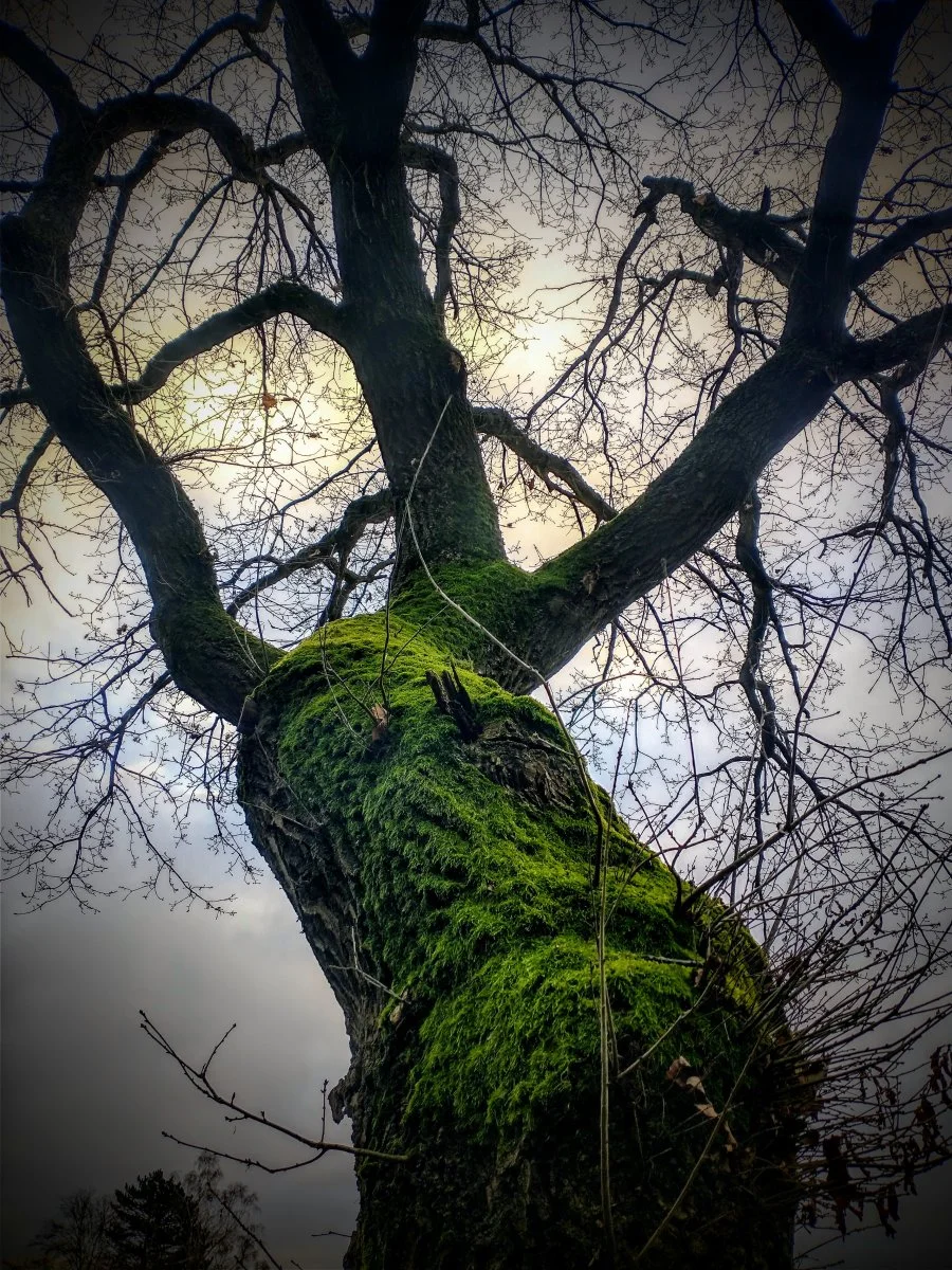 IMG_20211213_091841808_HDR~2.jpg