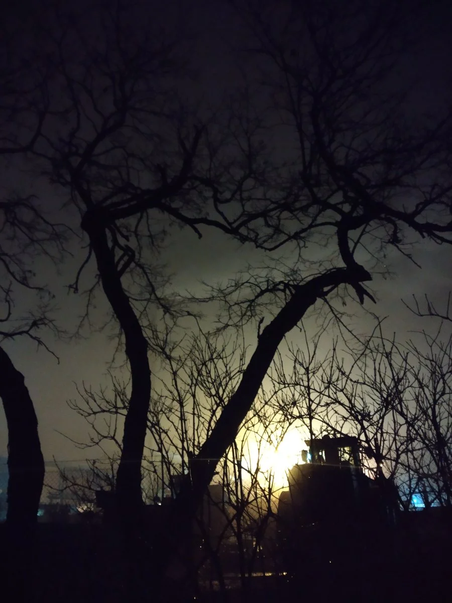 IMG_20211213_171605.jpg