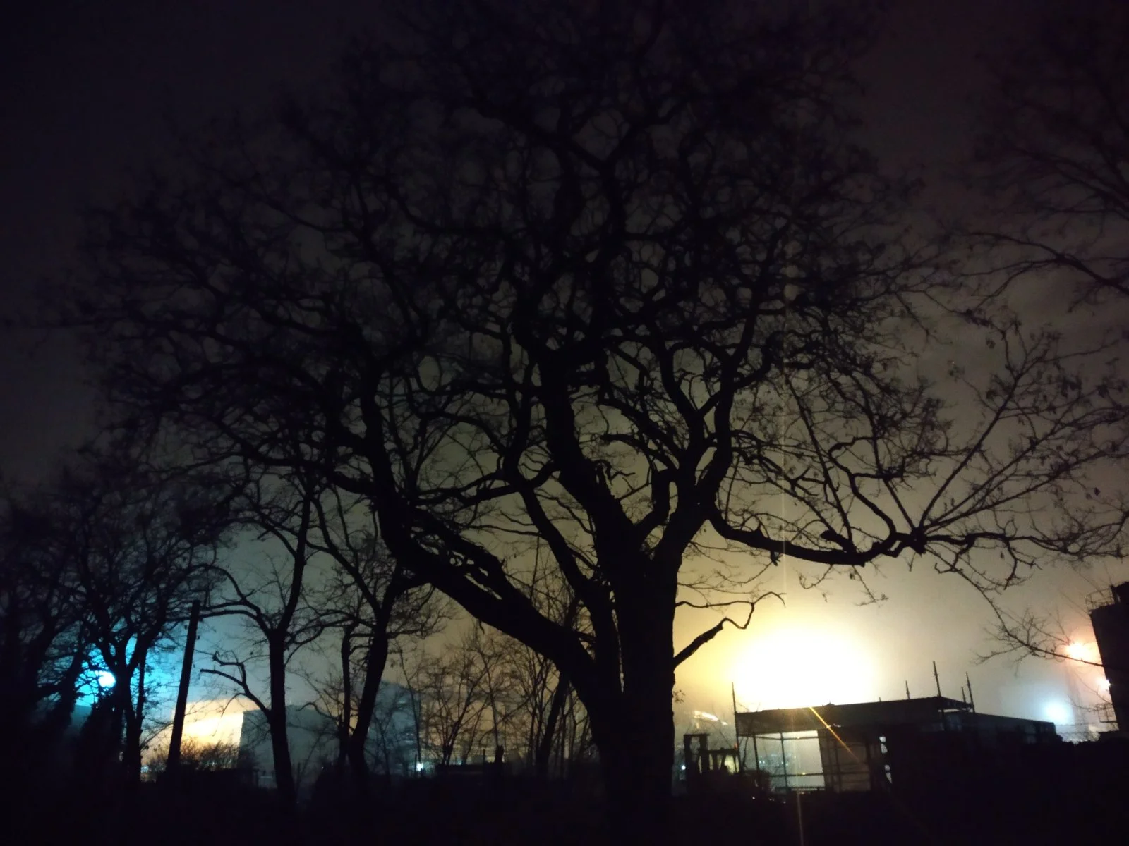 IMG_20211213_172013.jpg