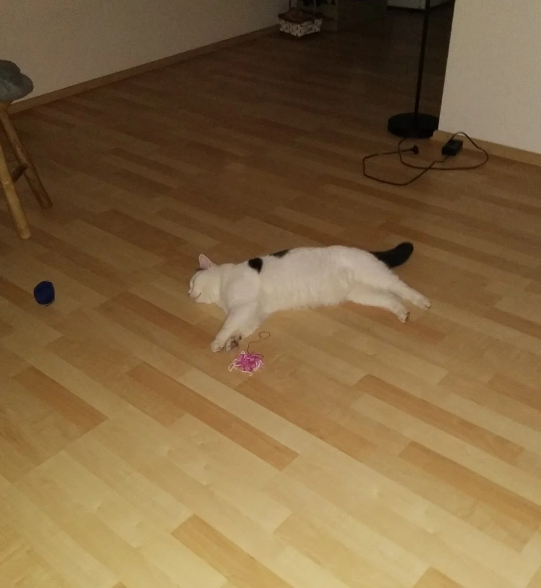 IMG_20211216_215010.jpg