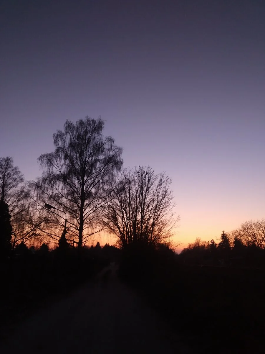 IMG_20220111_165140.jpg