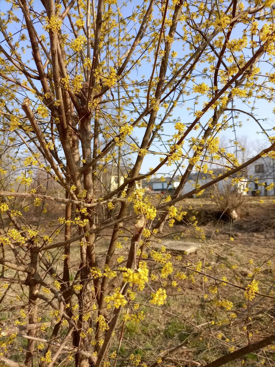 IMG_20220326_152330.jpg