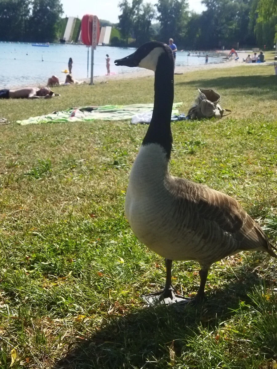 IMG_20220517_165336.jpg
