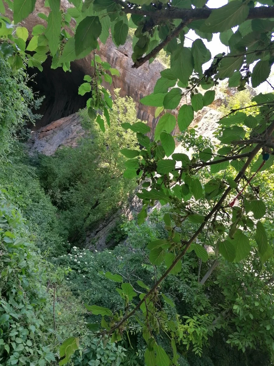 IMG_20220604_165036.jpg