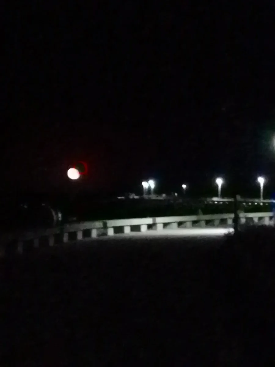 IMG_20220716_231119.jpg