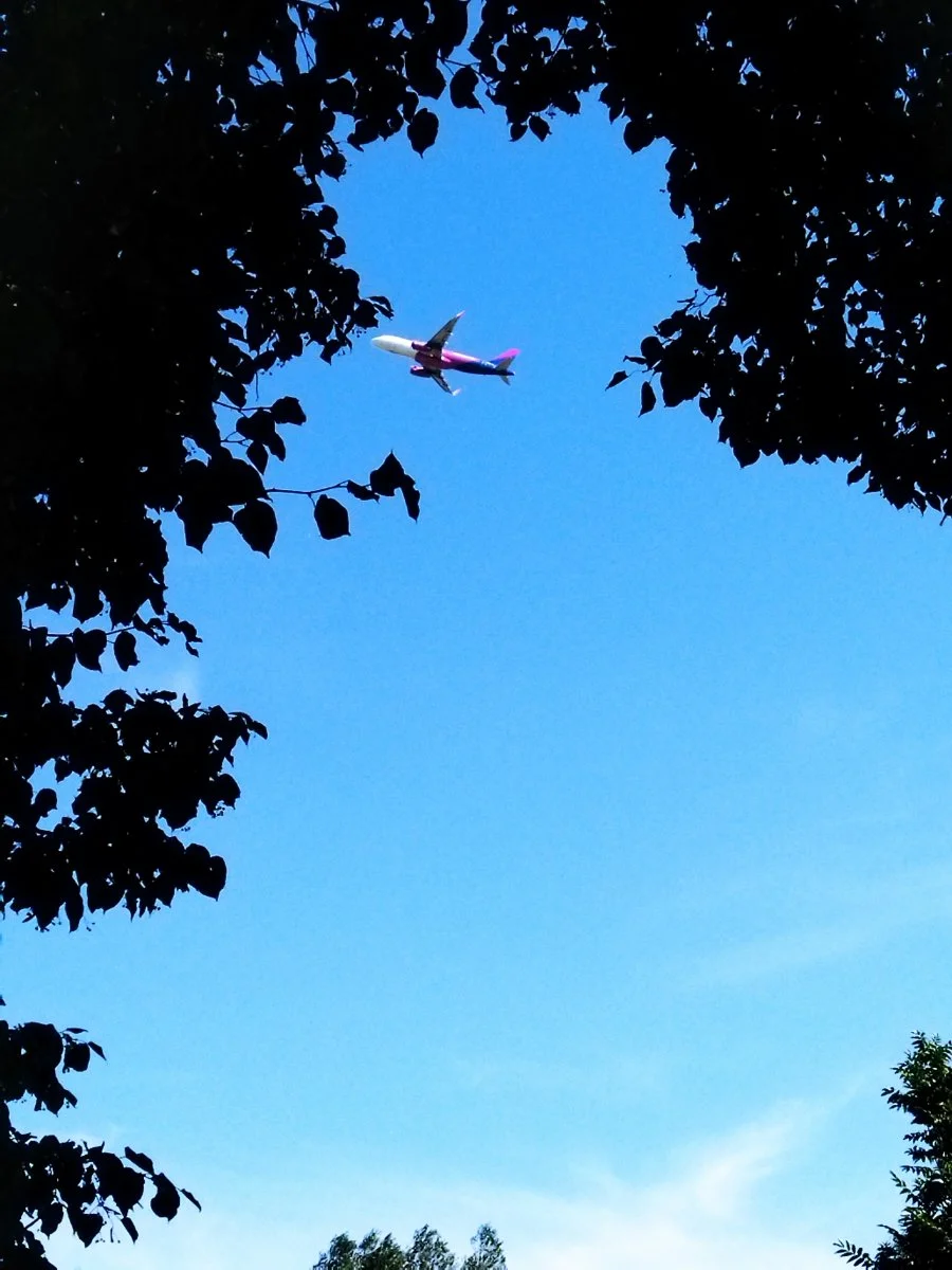 IMG_20220813_161448.jpg