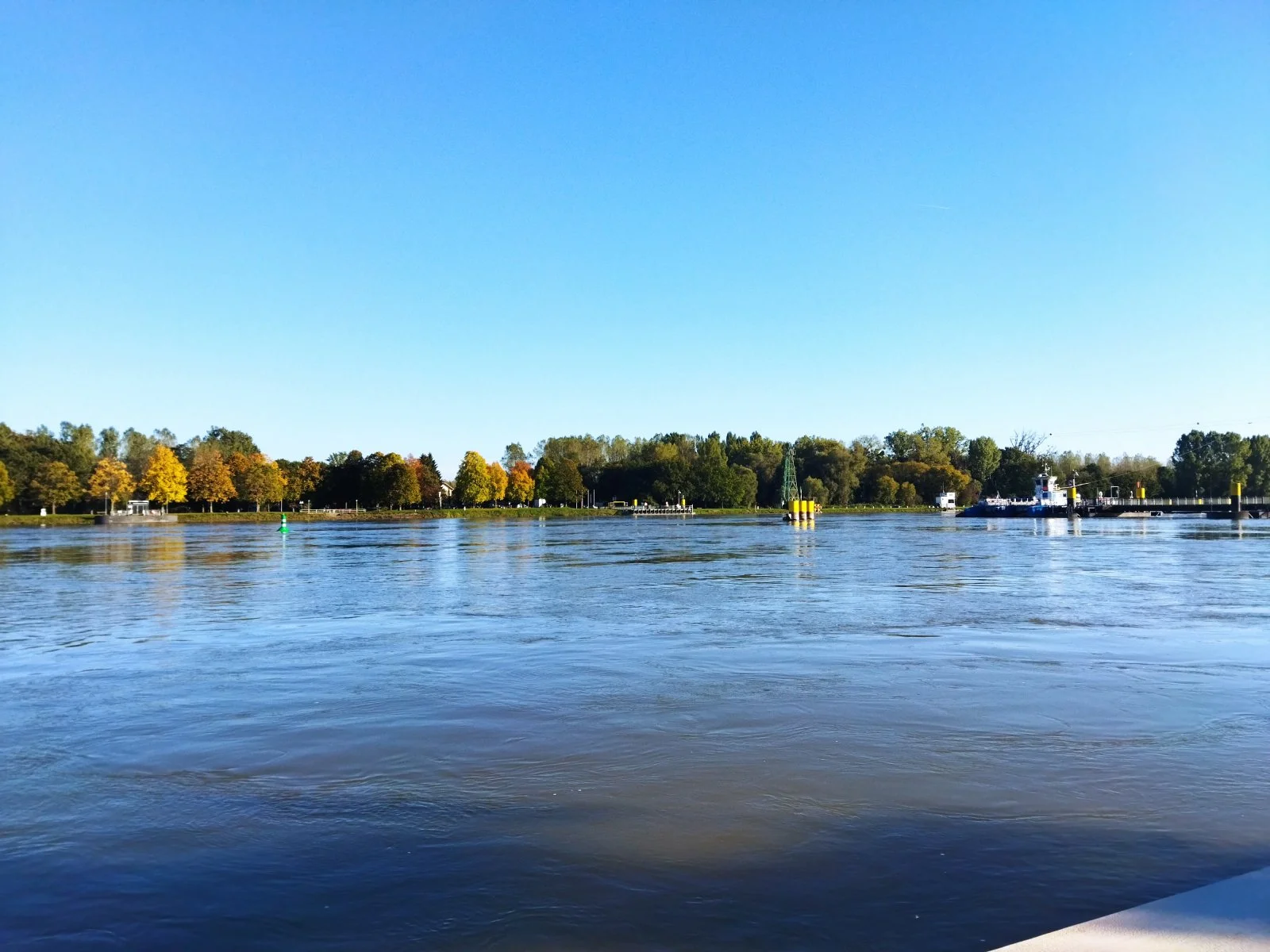 IMG_20221004_171142.jpg