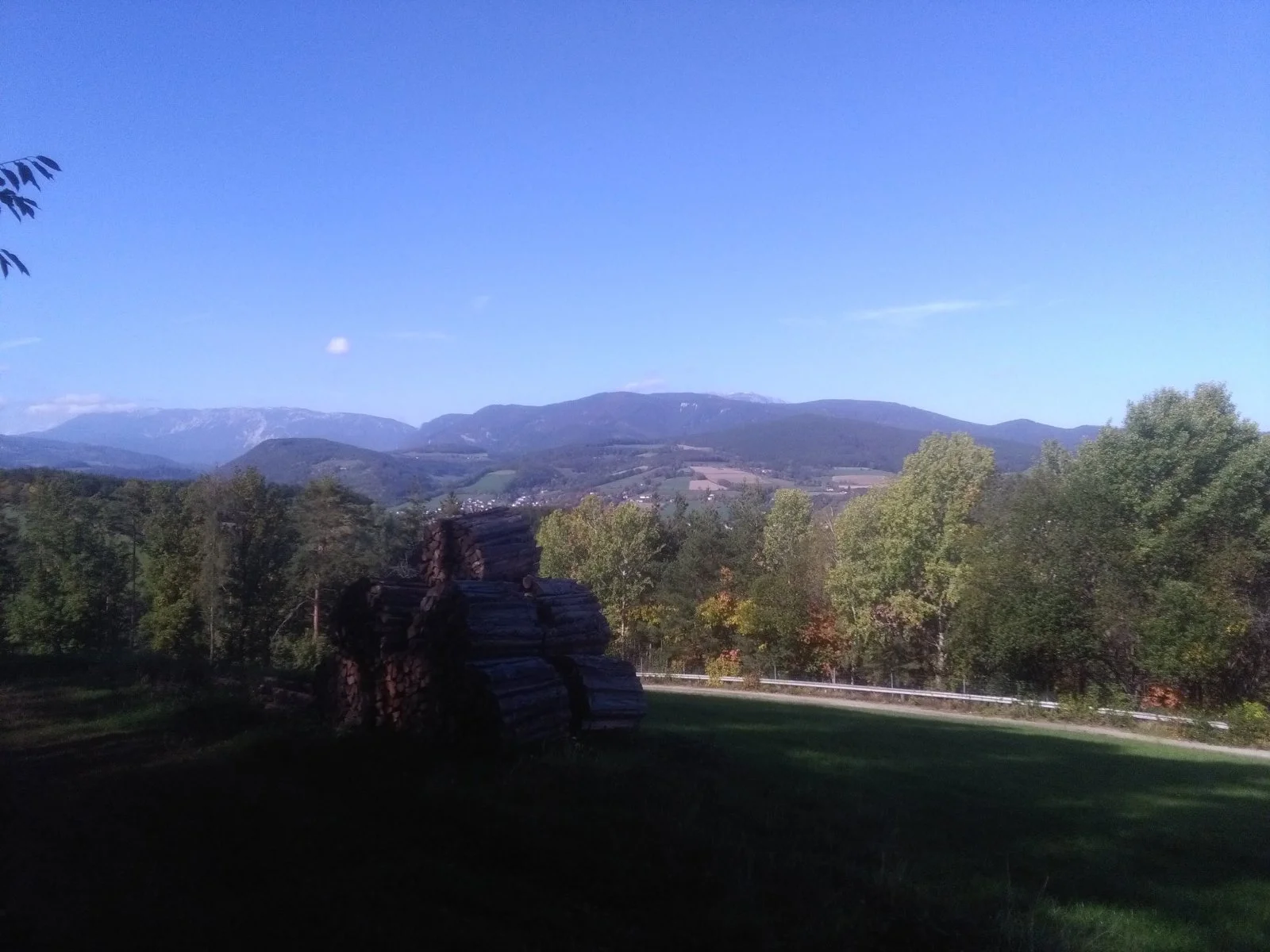 IMG_20221007_120349.jpg