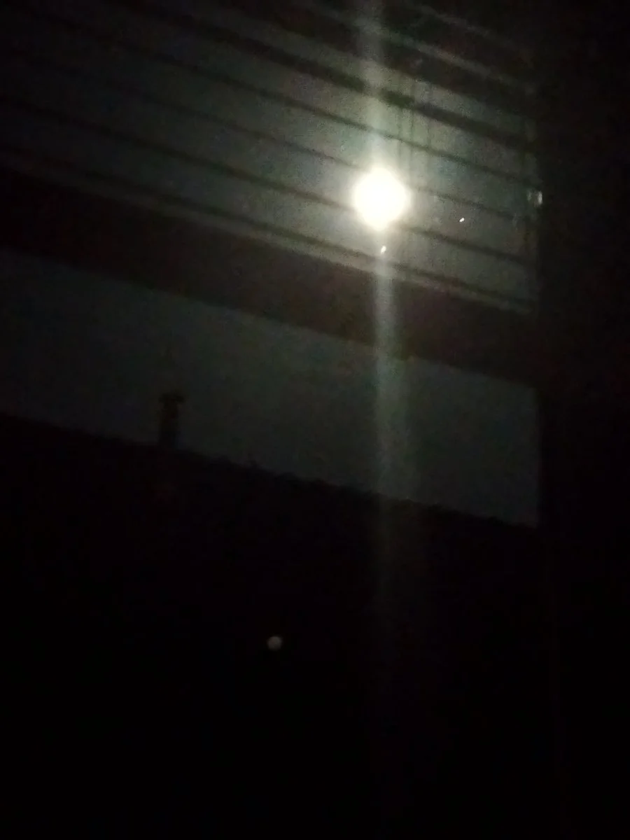 IMG_20221009_031936.jpg