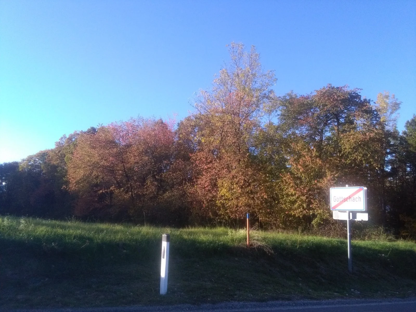 IMG_20221019_163823.jpg