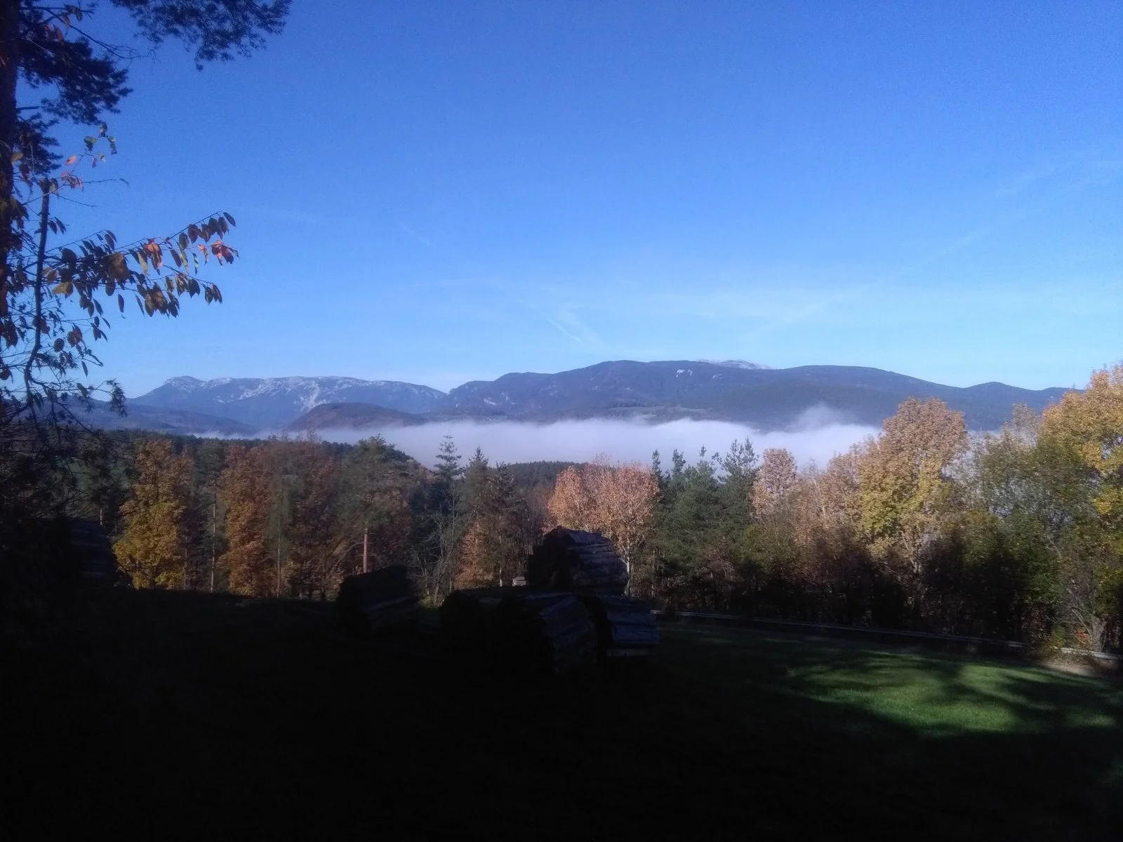 IMG_20221028_104213.jpg