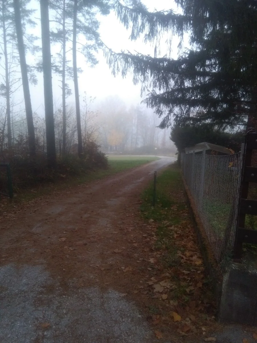 IMG_20221115_125142.jpg