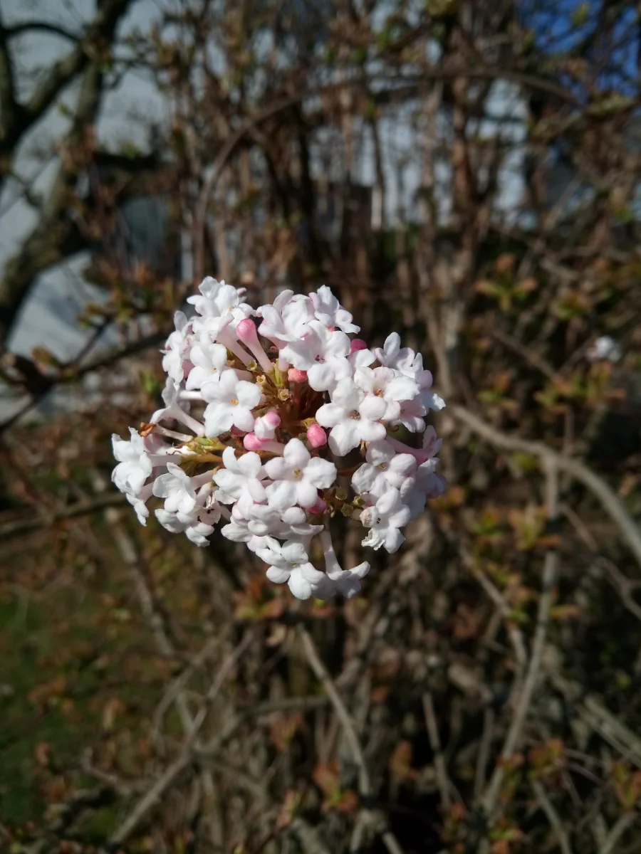 IMG_20230301_113032.webp