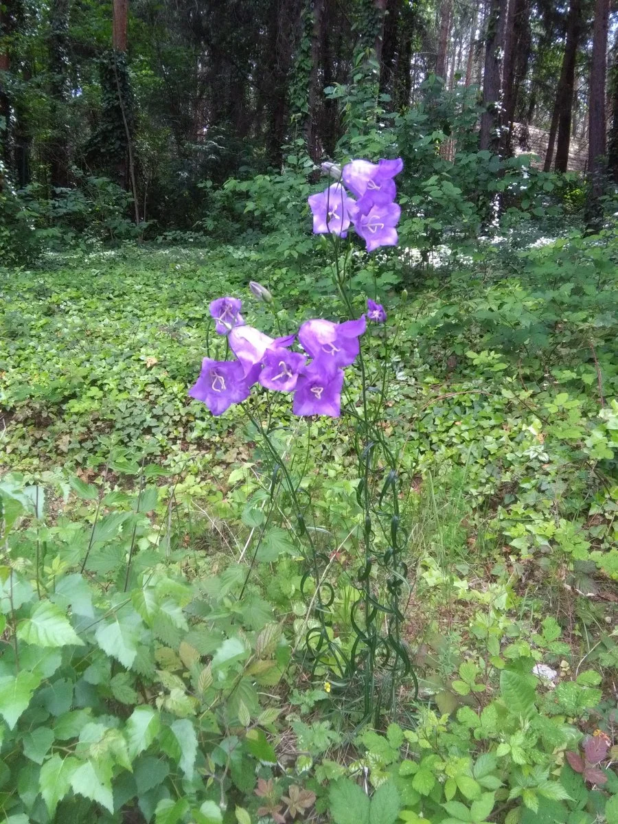 IMG_20230617_133210.jpg