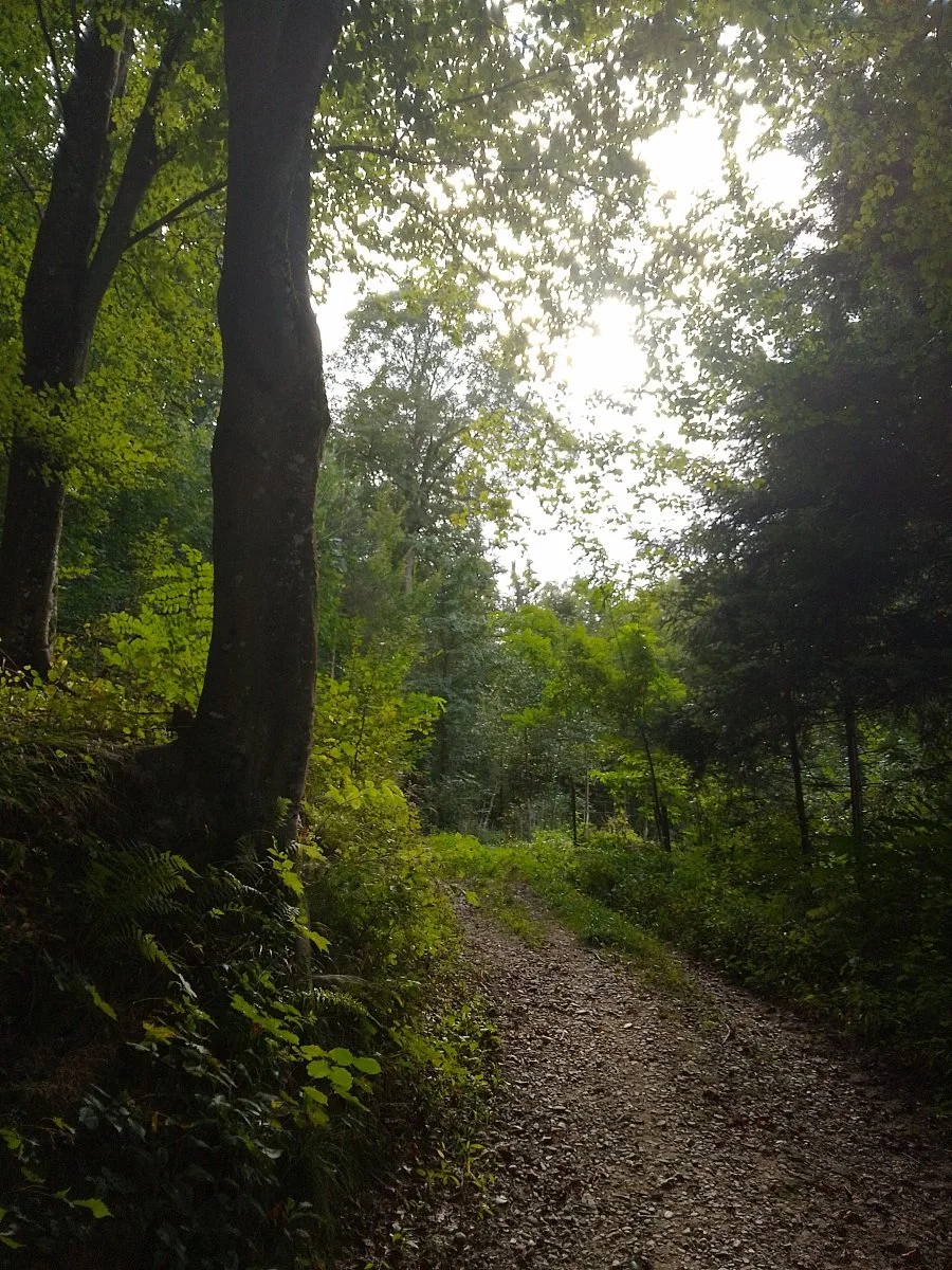 IMG_20230919_160211_HDR.jpg