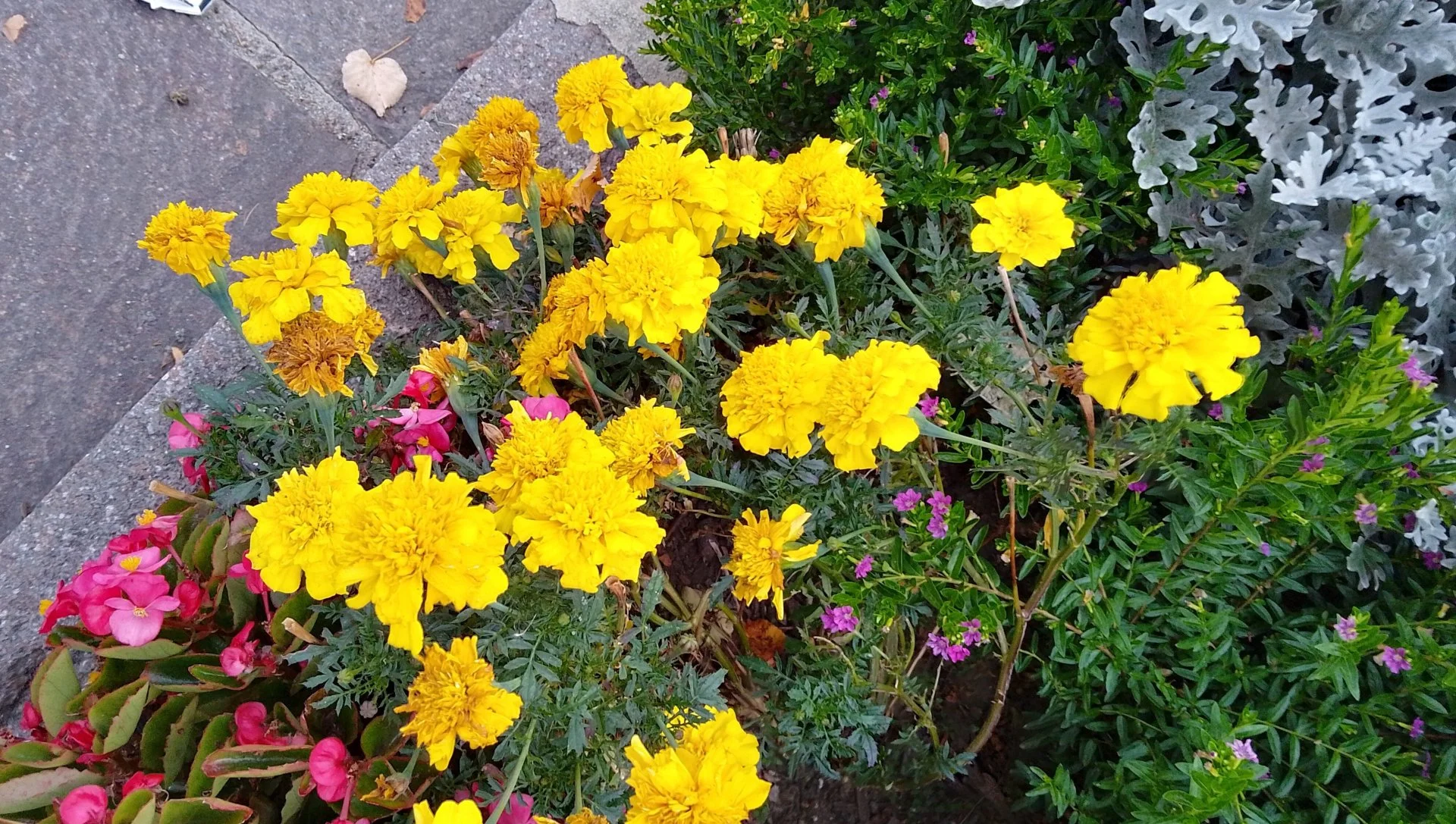 IMG_20231009_172824_HDR~3.jpg