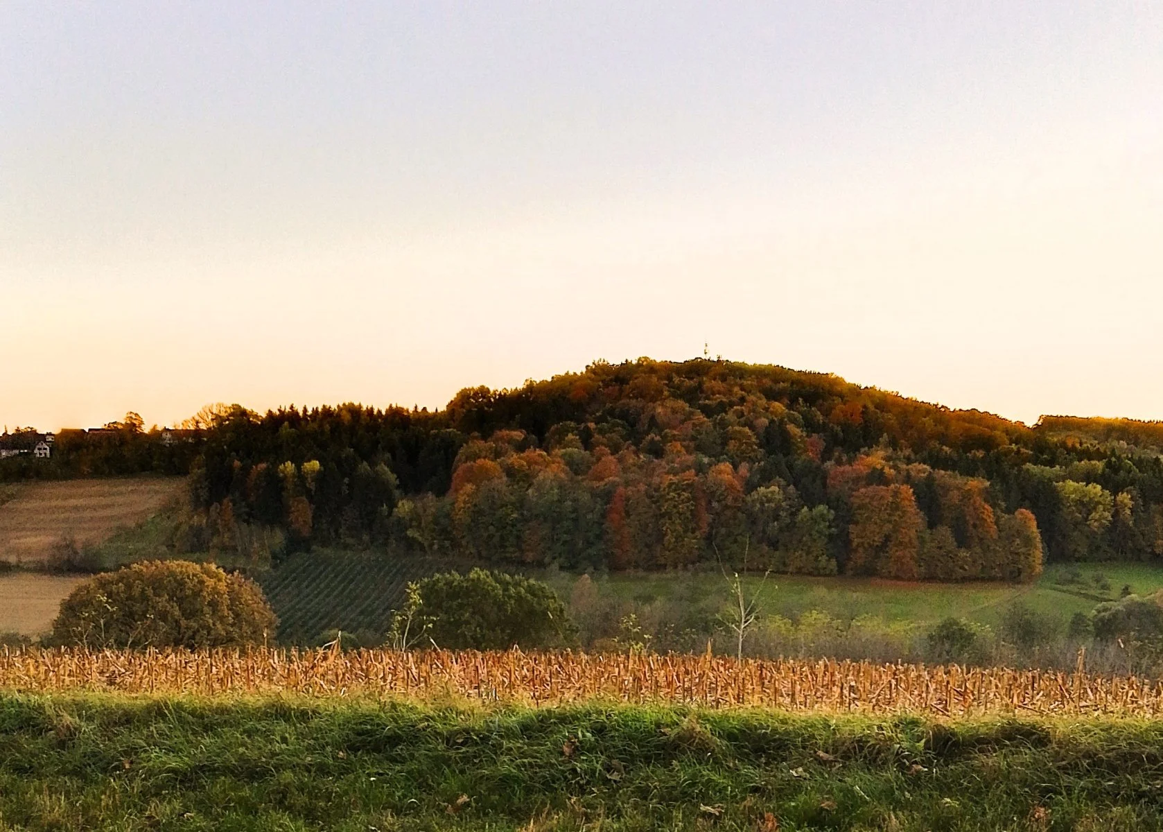 IMG_20231108_162145_HDR.jpg