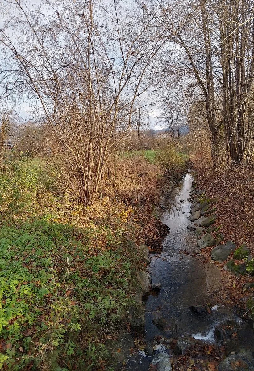 IMG_20231128_150044_HDR.jpg