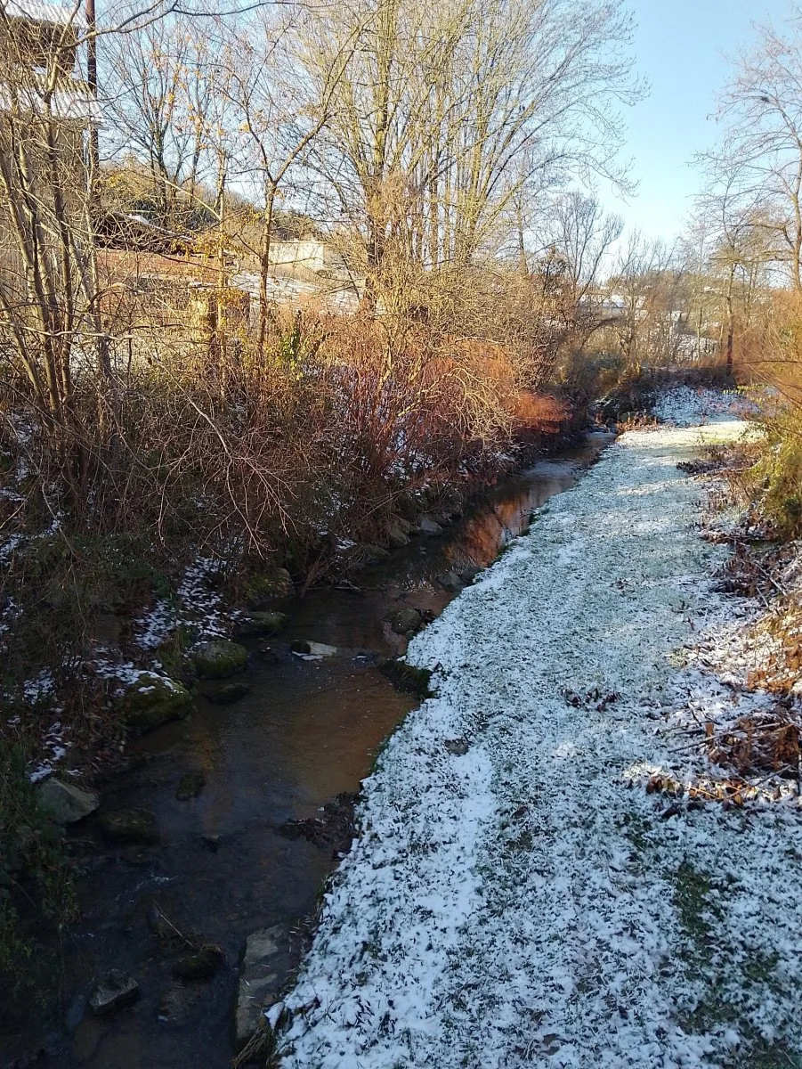 IMG_20231203_091447_HDR.jpg