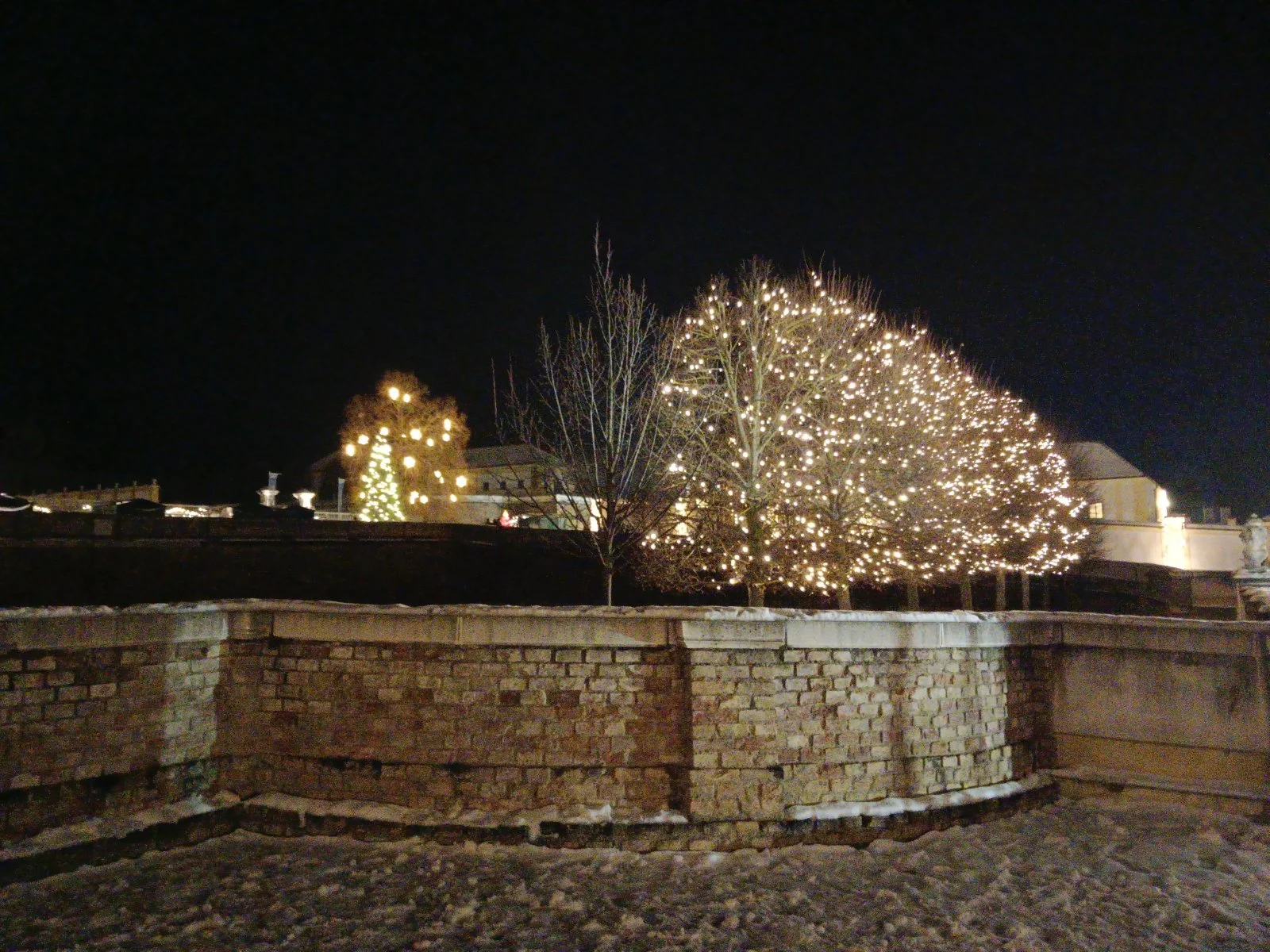 IMG_20231208_174445_Burst08.jpg