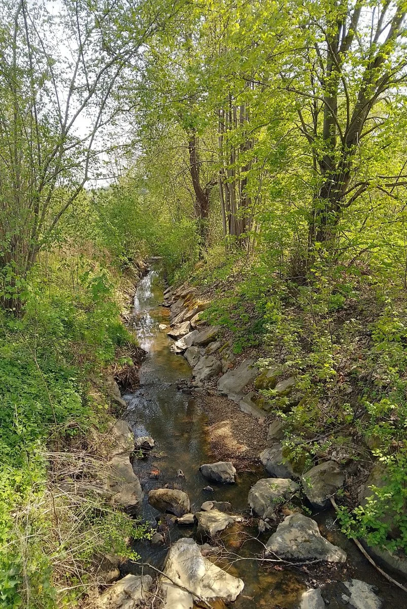 IMG_20240411_134820_HDR~2.jpg