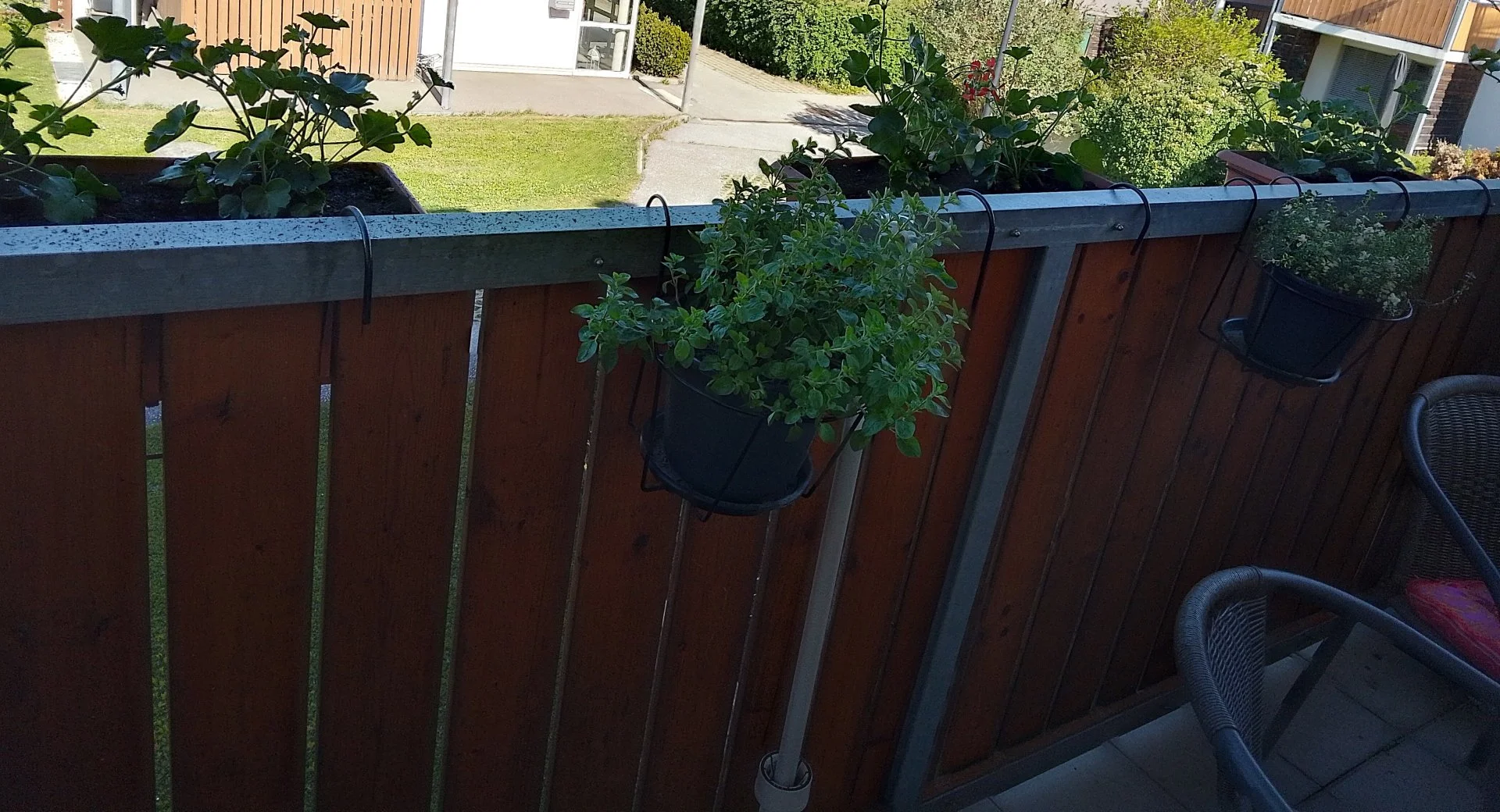 IMG_20240413_100555_HDR~2.jpg