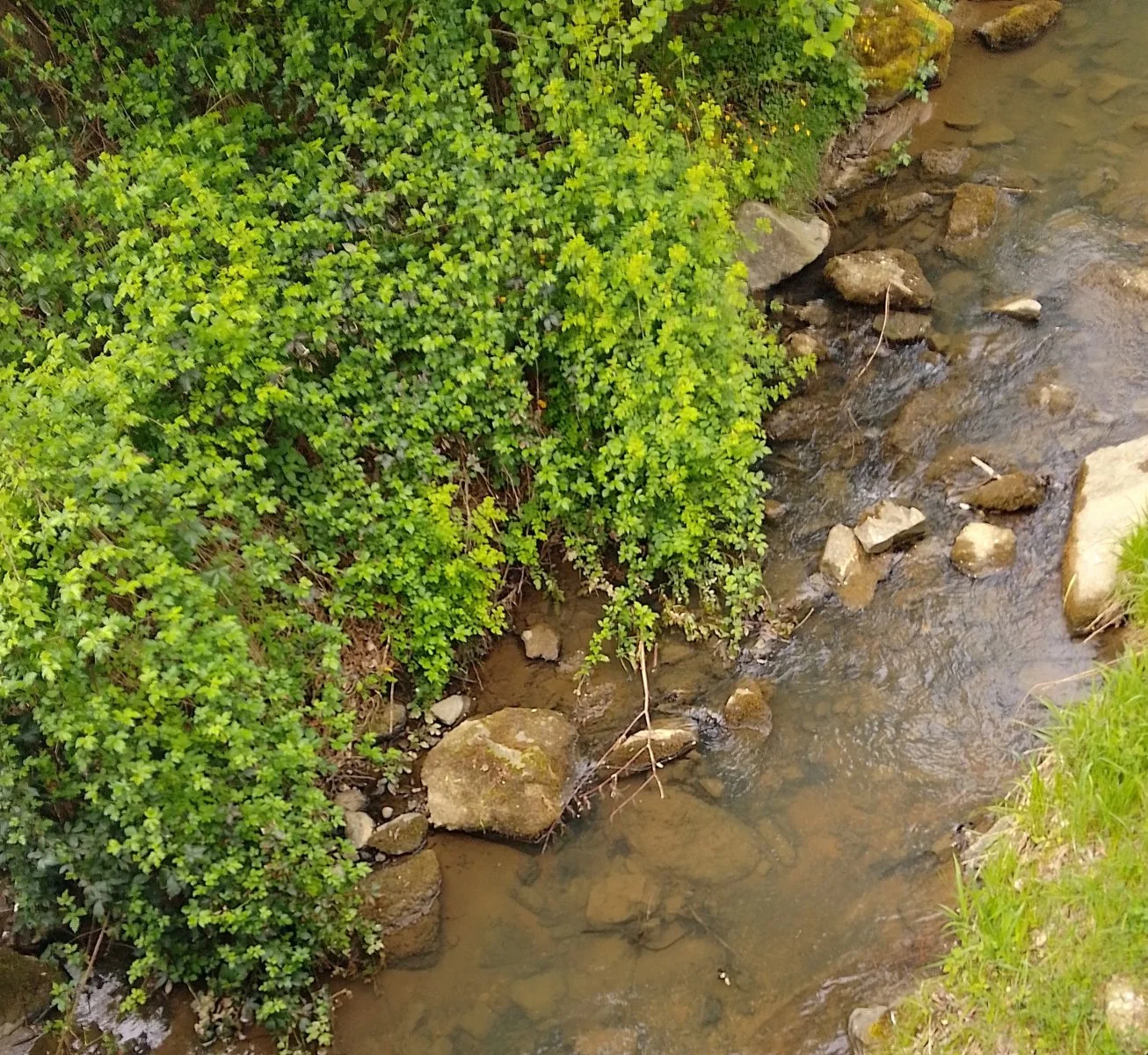 IMG_20240420_111754_HDR~2.jpg