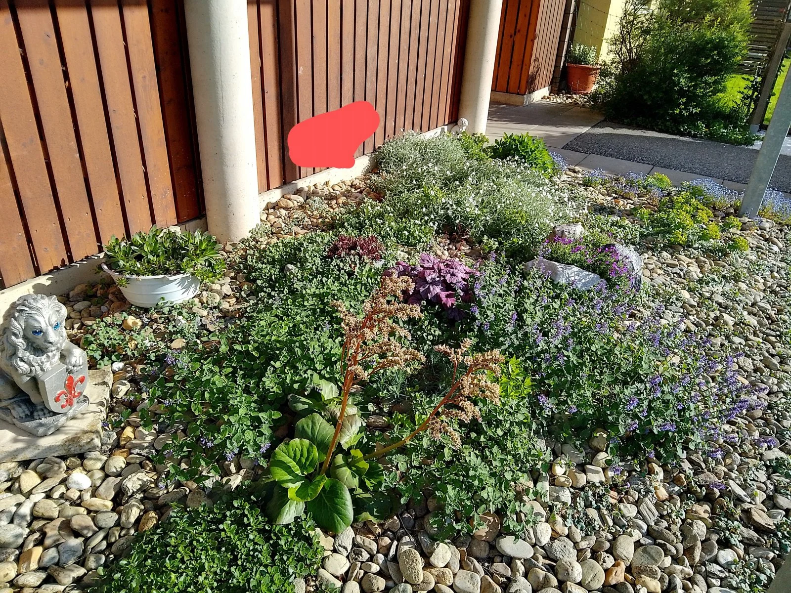 IMG_20240426_171152_HDR~2.jpg