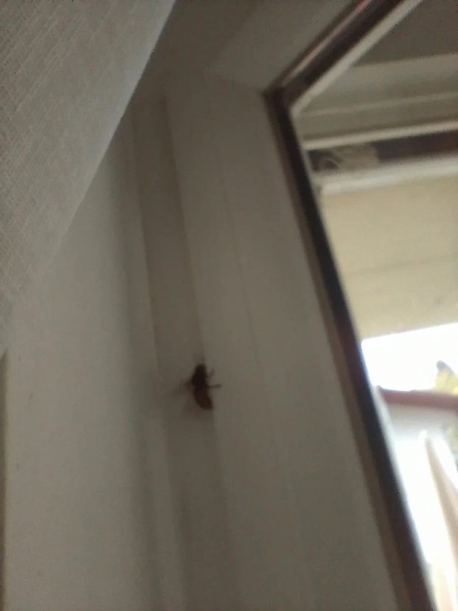 IMG_20240516_153810.jpg