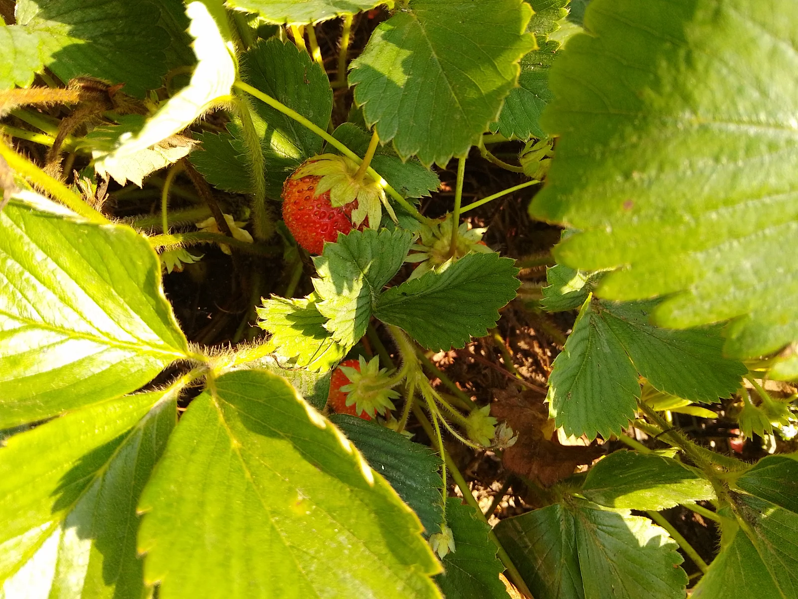 IMG_20240712_093502_HDR.webp