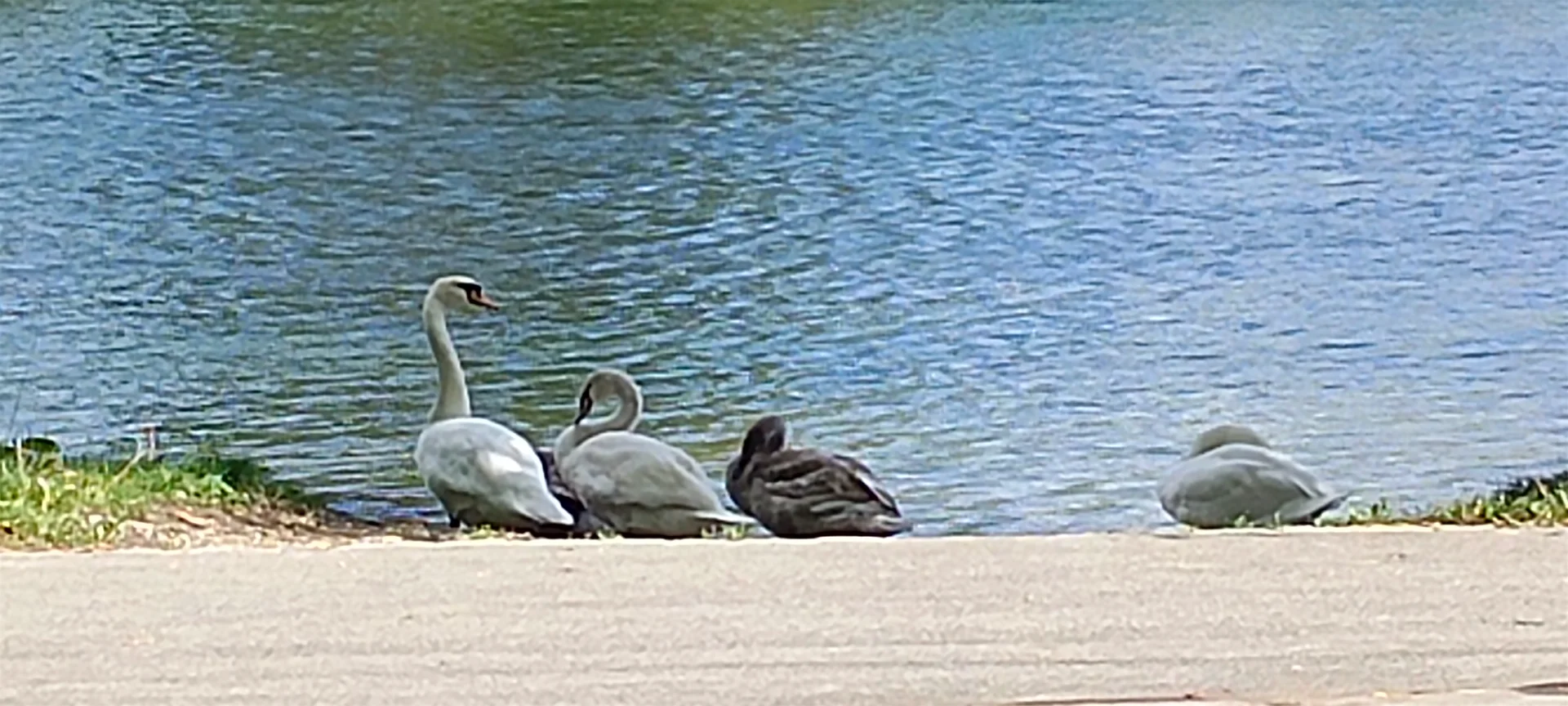 IMG_20240910_100731.webp