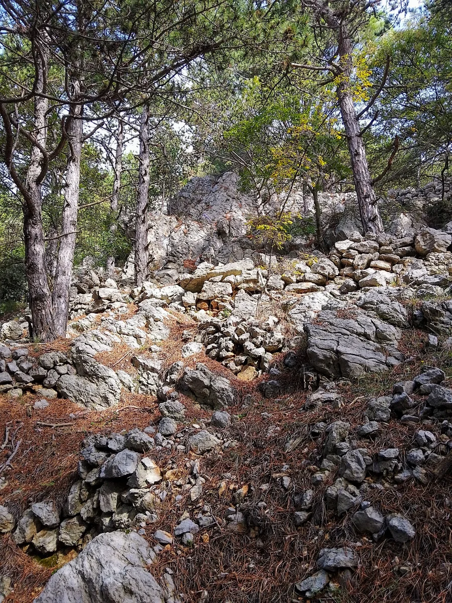 IMG_20241009_111413_HDR~2.webp