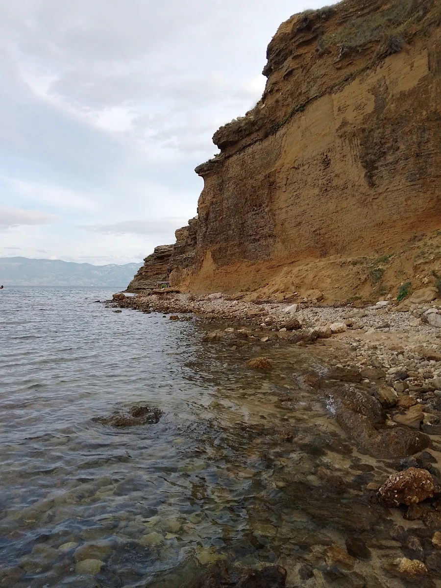 IMG_20241009_171407_HDR.webp