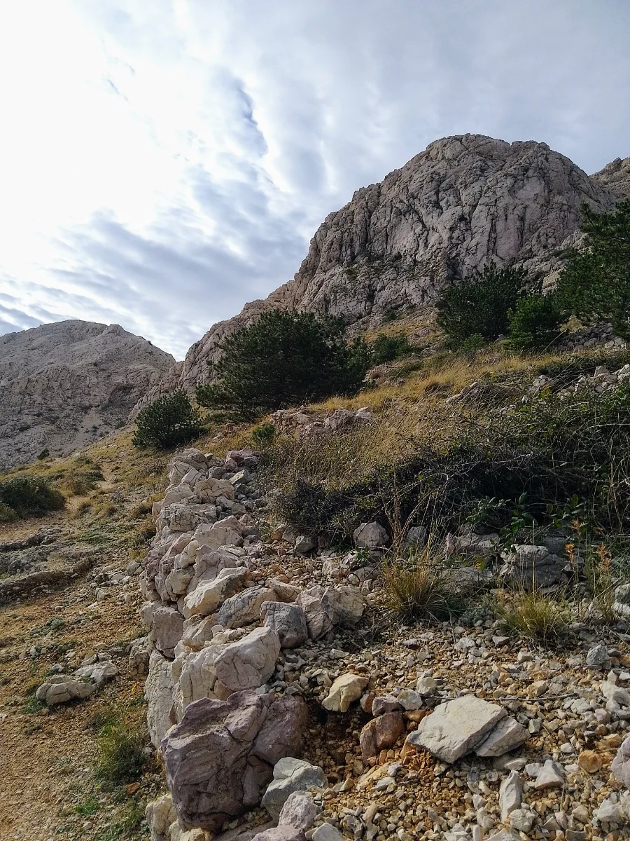 IMG_20241010_102831_HDR~2.webp