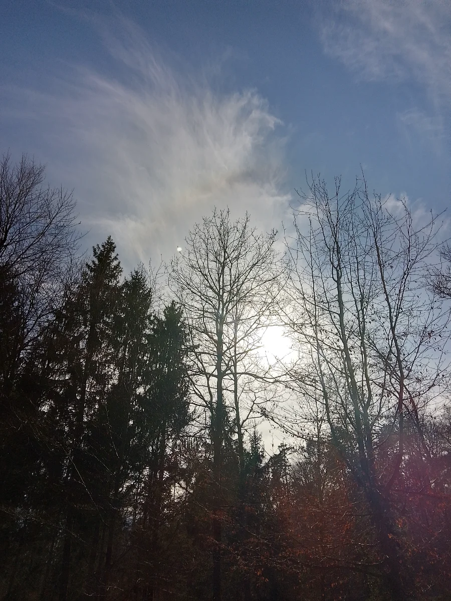 IMG_20250304_143950_HDR.webp