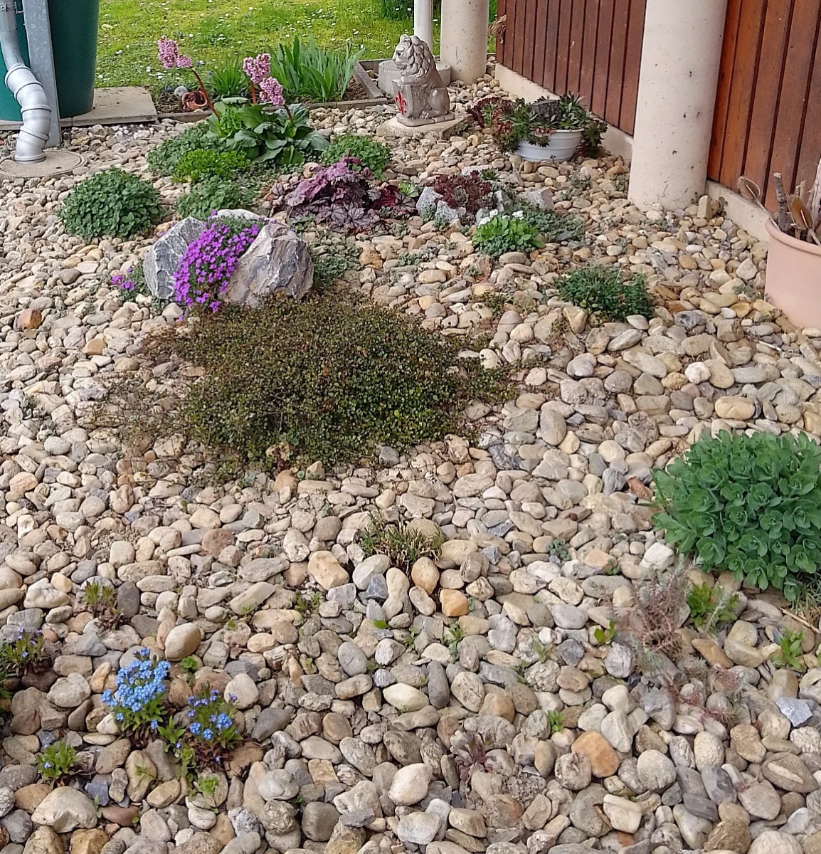 IMG_20250414_174735_HDR-1-1.webp