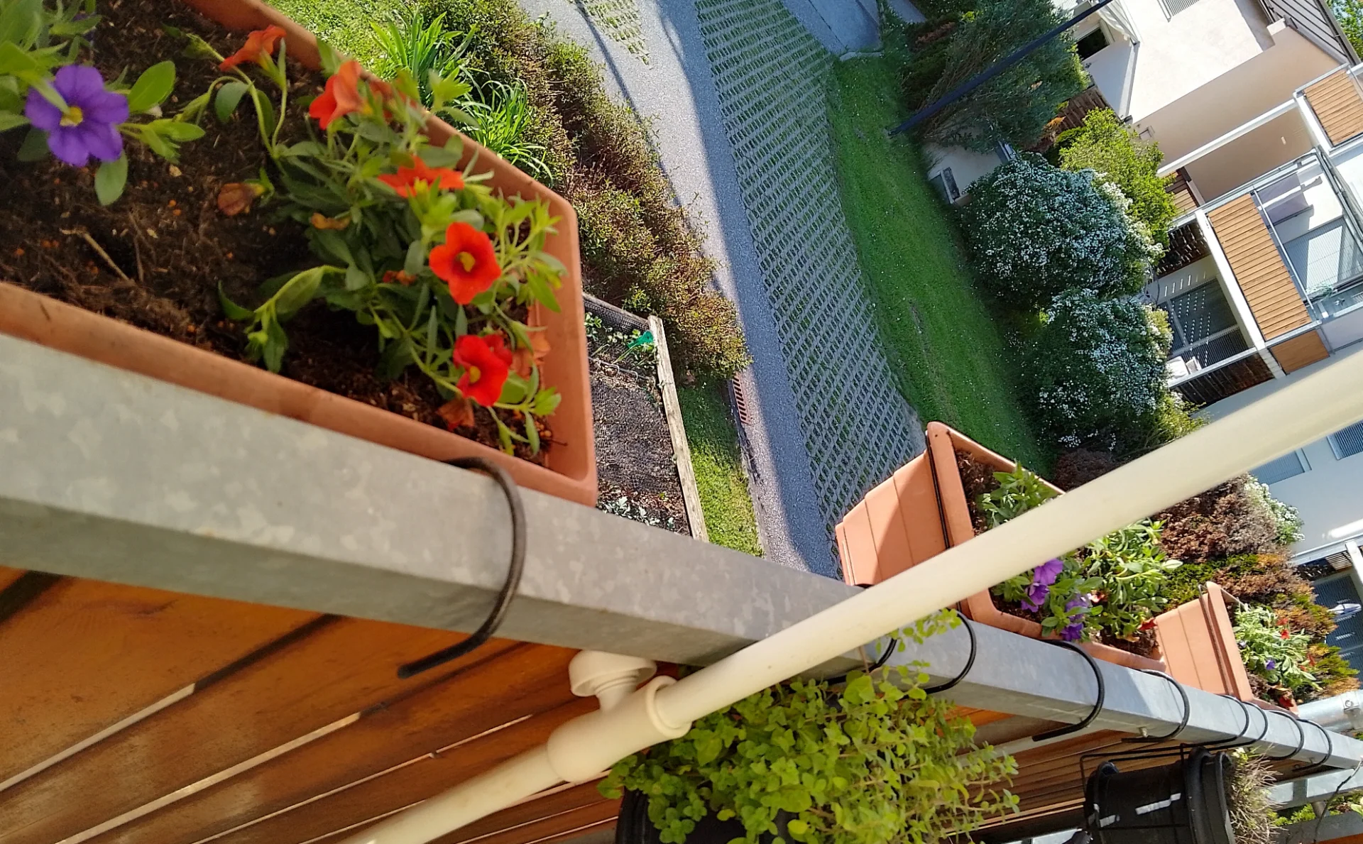 IMG_20250428_174917_HDR-1.webp