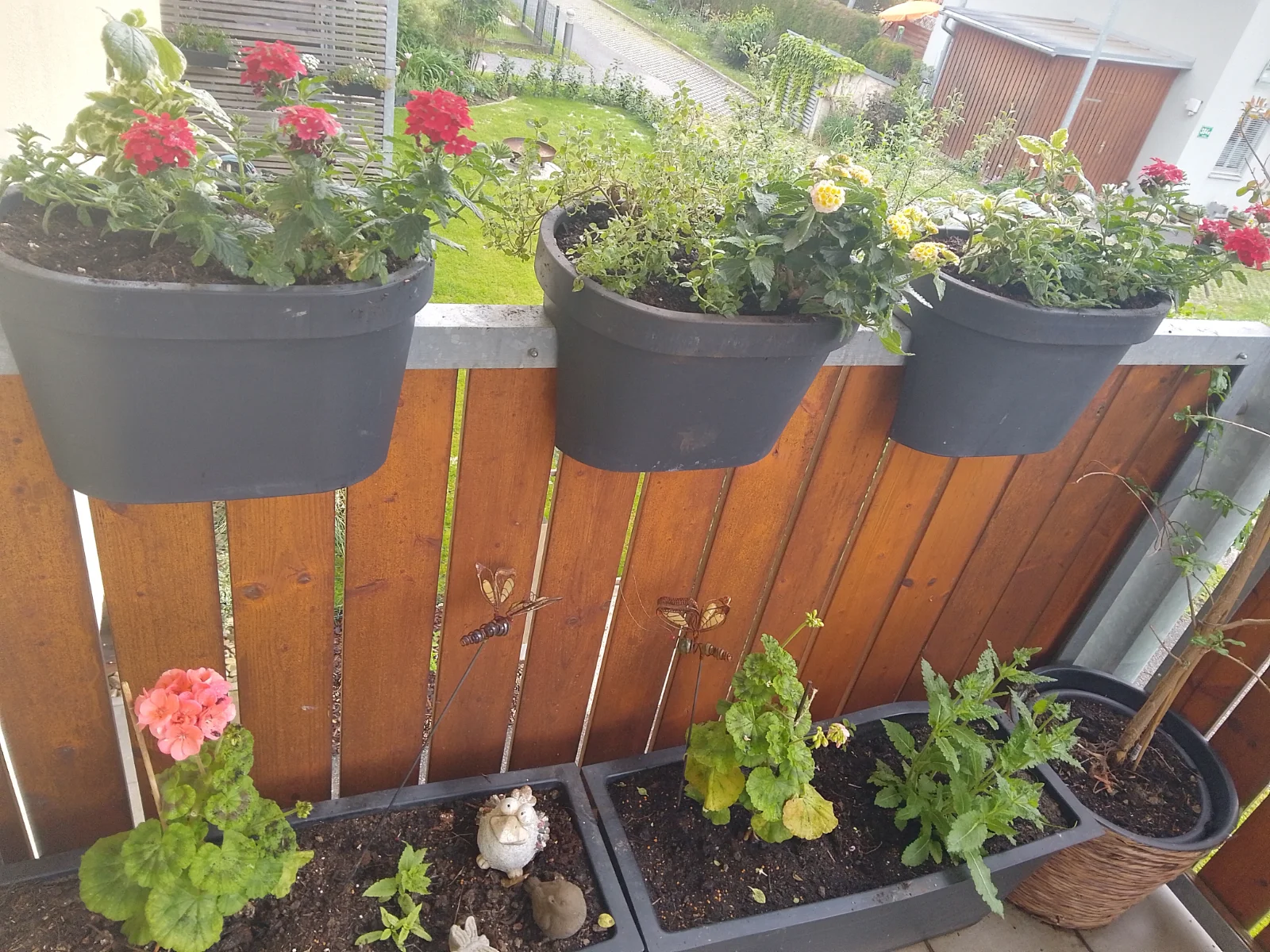 IMG_20250506_103516_HDR.webp