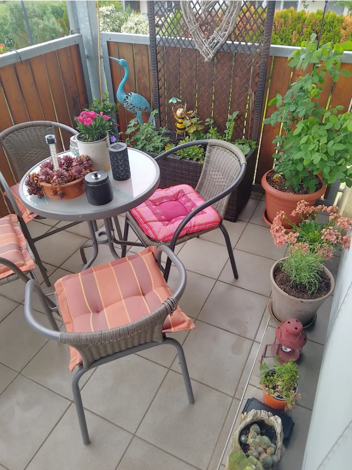 IMG_20250506_103616_HDR-1.webp