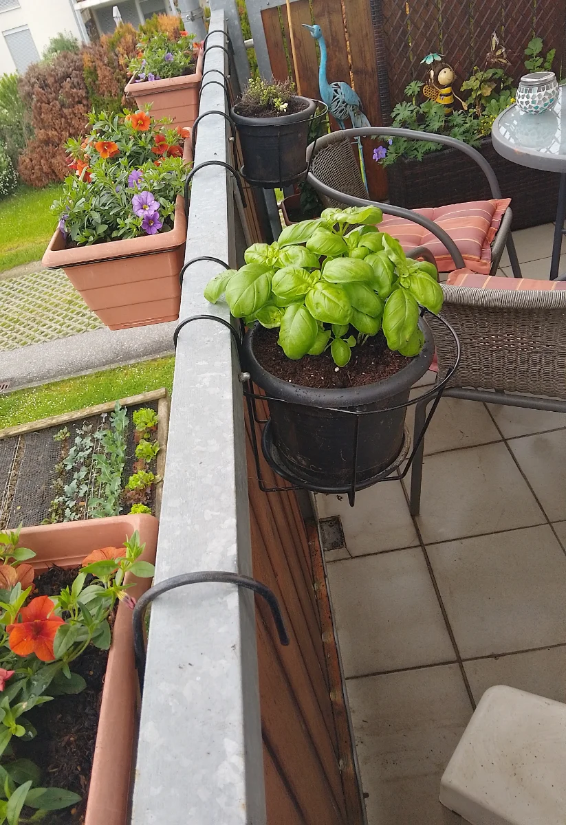 IMG_20250506_103707_HDR-1.webp