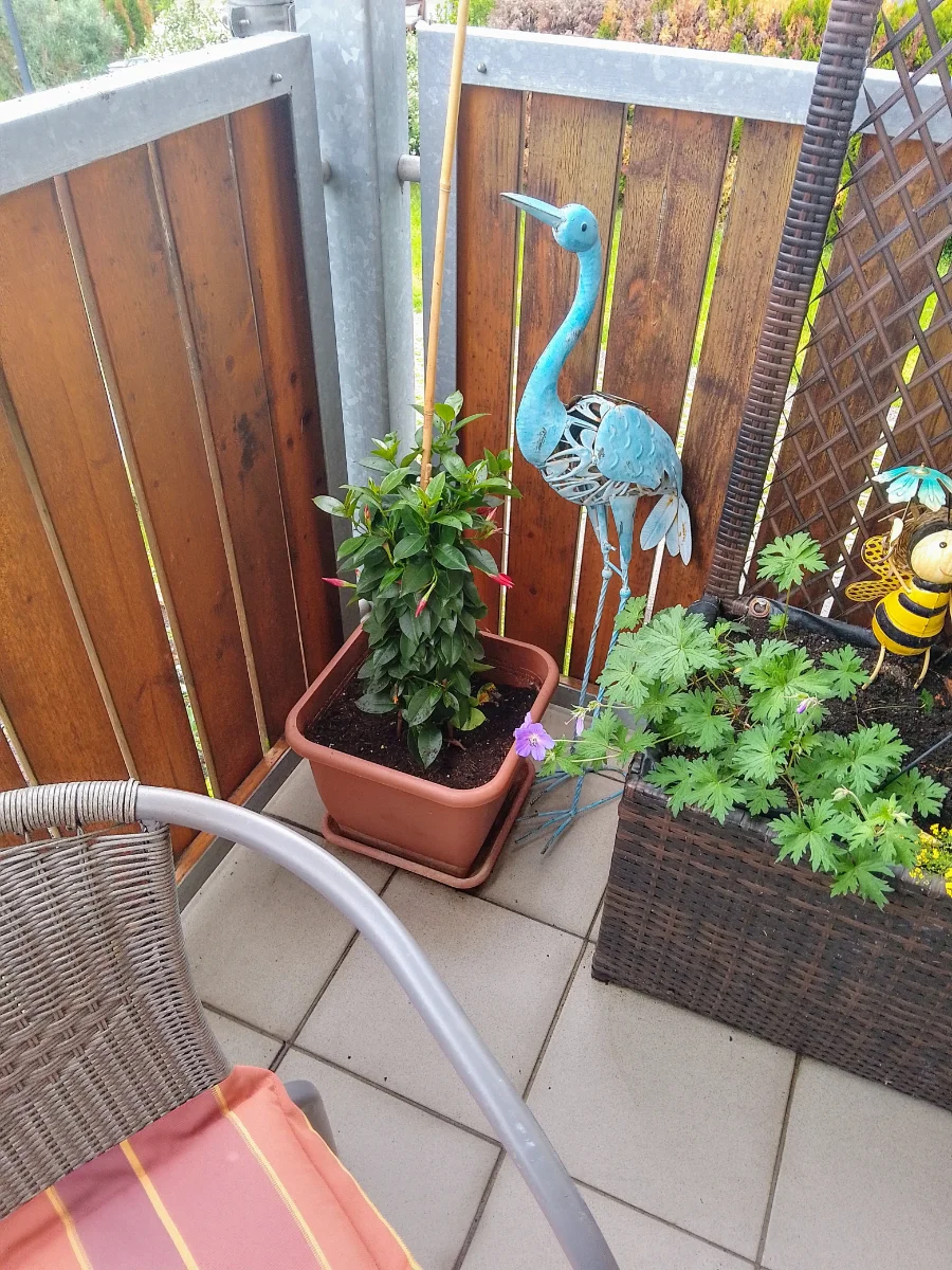 IMG_20250506_103724_HDR~2.webp