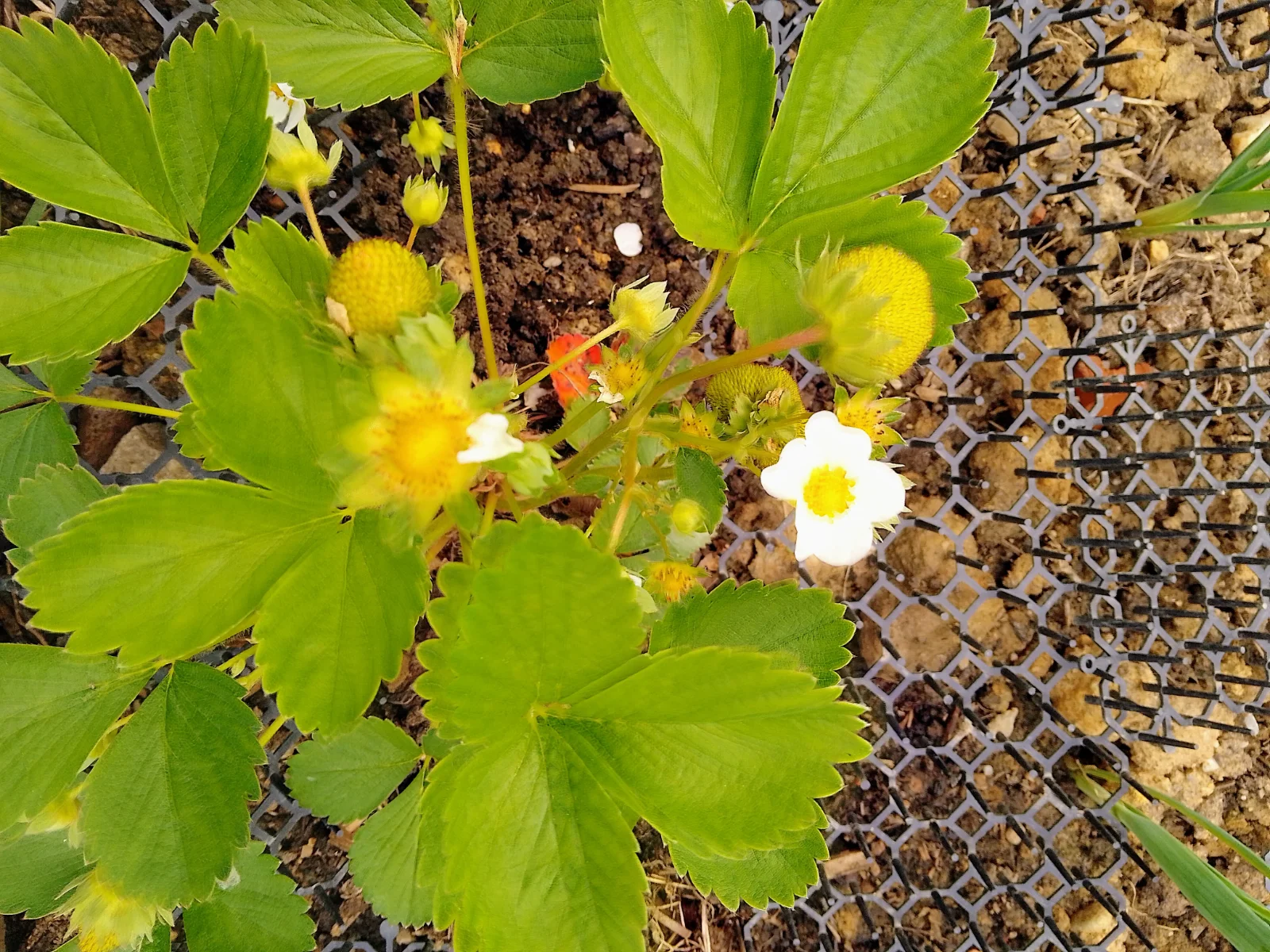 IMG_20250513_100408_HDR~2.webp