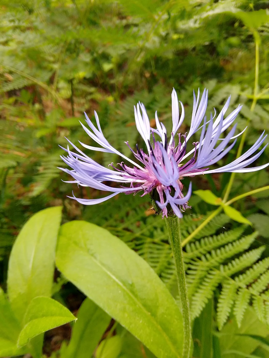 IMG_20250520_153214_HDR.webp
