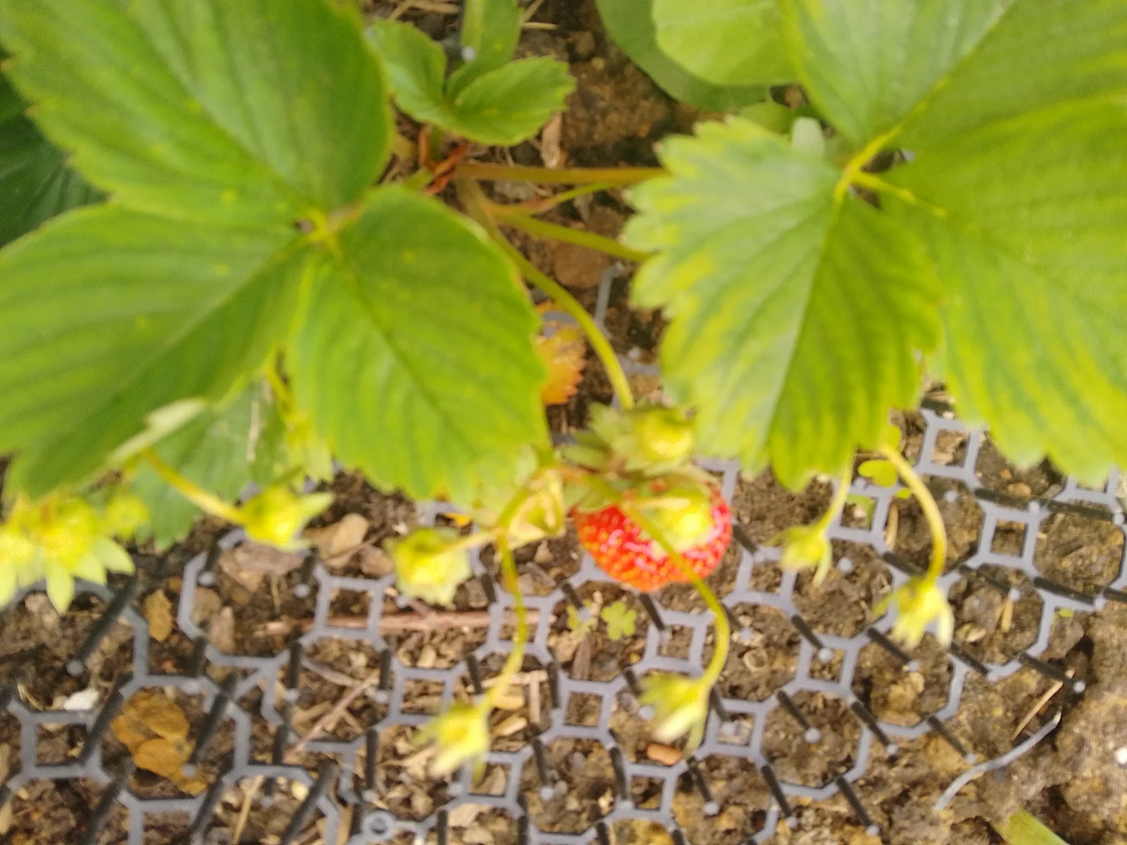 IMG_20250522_143331.webp