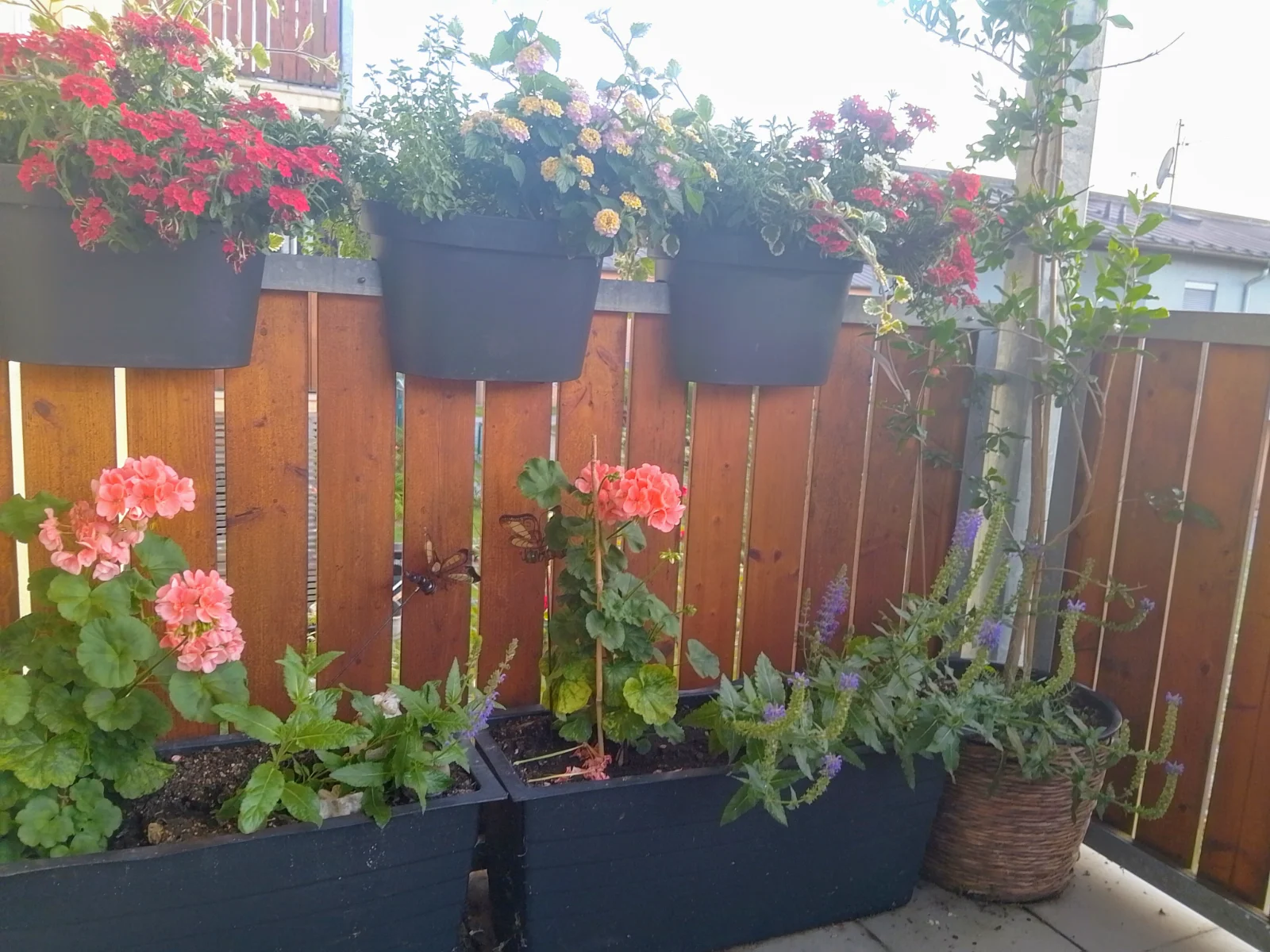 IMG_20250617_202806_HDR.webp