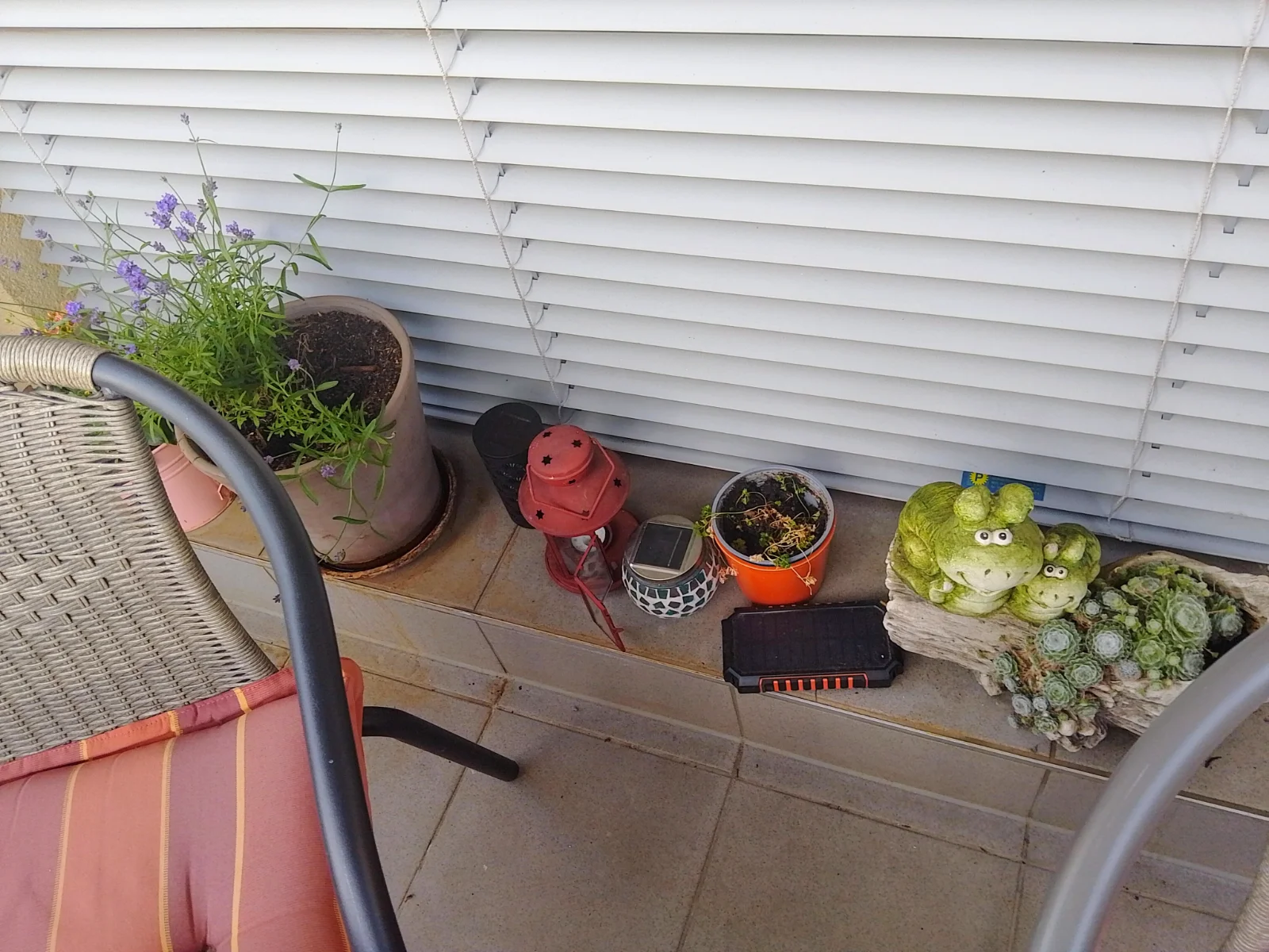 IMG_20250617_202942.webp