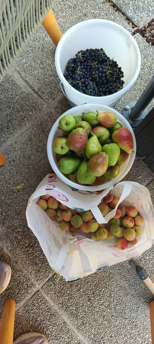 IMG_20250828_120616.webp