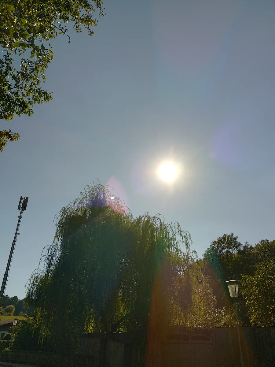 IMG_20250915_153830_HDR.webp