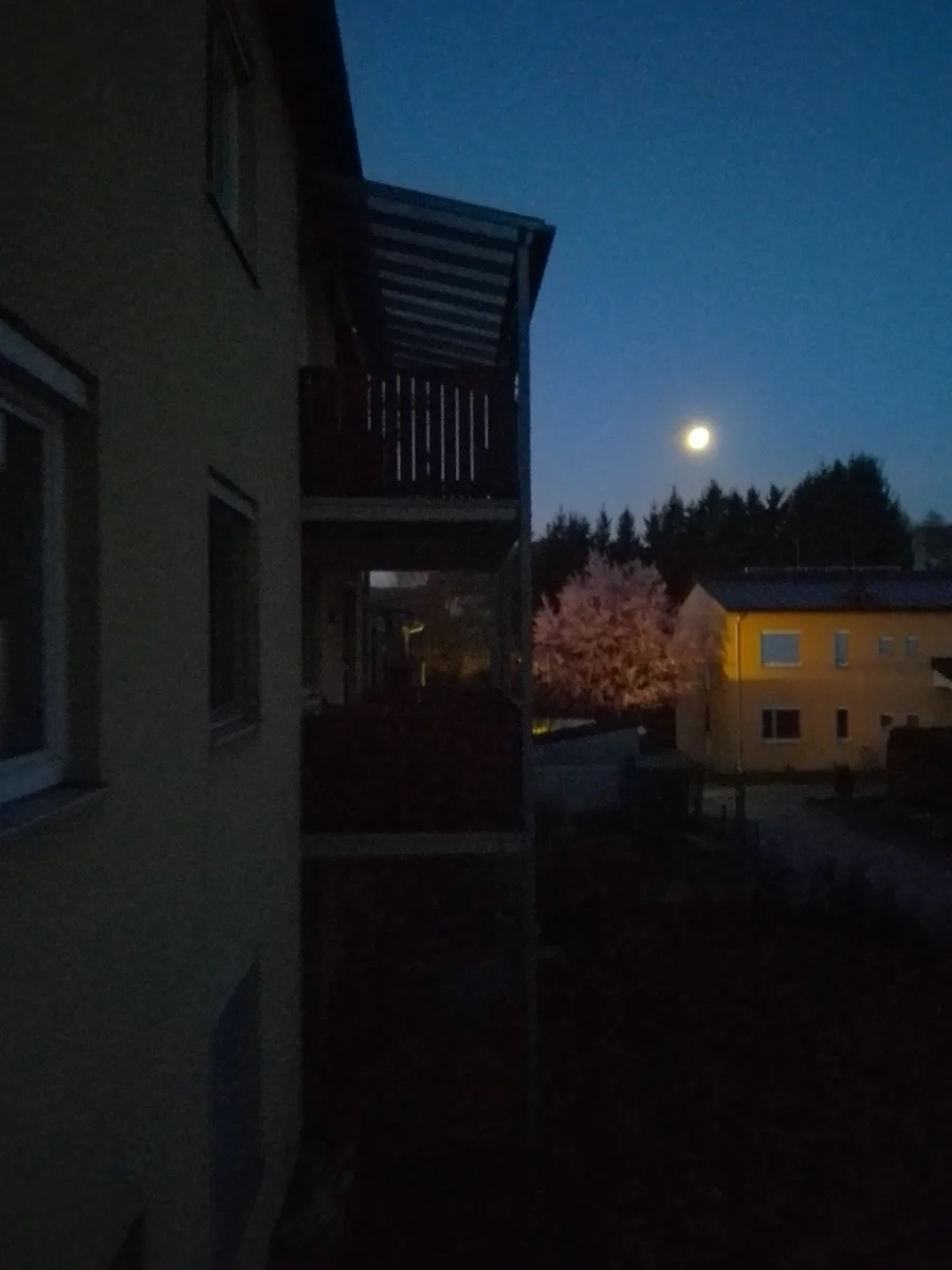 IMG_20260405_054908_HDR~2.webp
