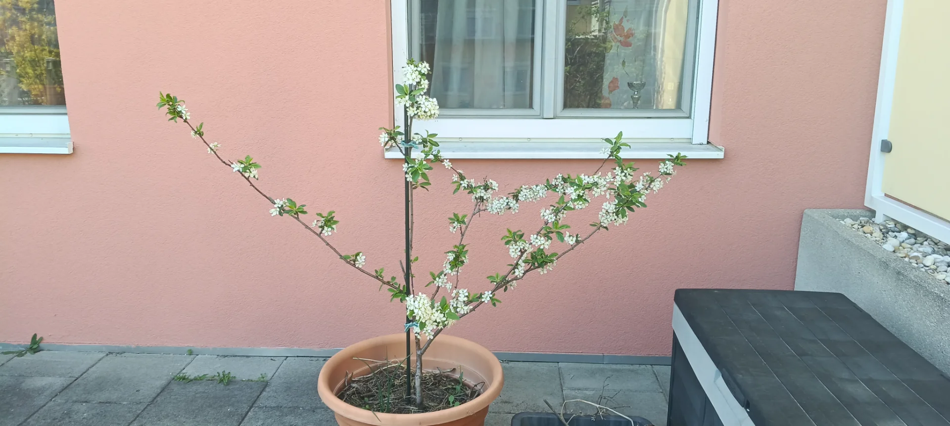 IMG_20260407_134020.webp